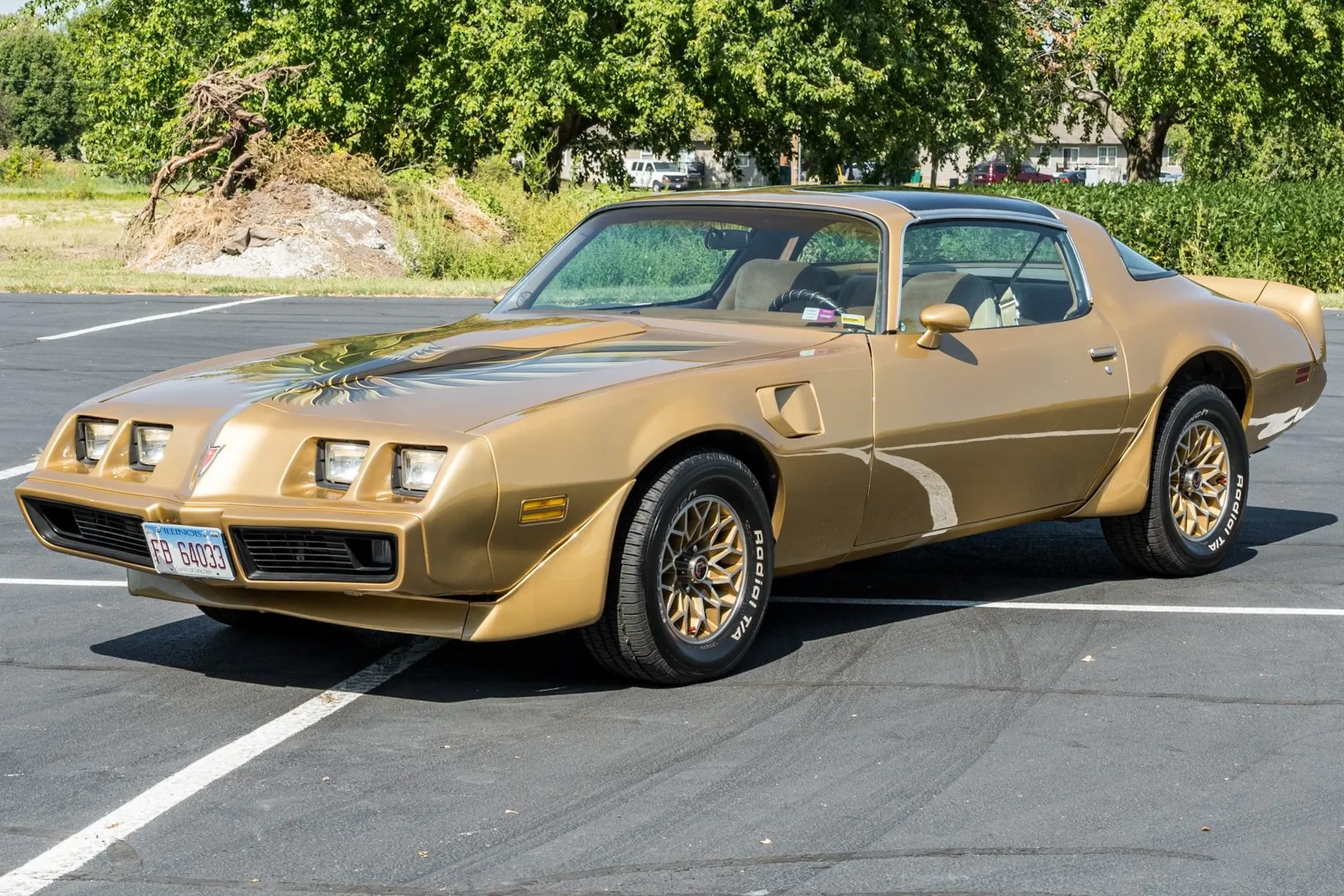 1979 Pontiac Firebird VIN 2W87Z9N127365 | Hagerty Valuation Tools®